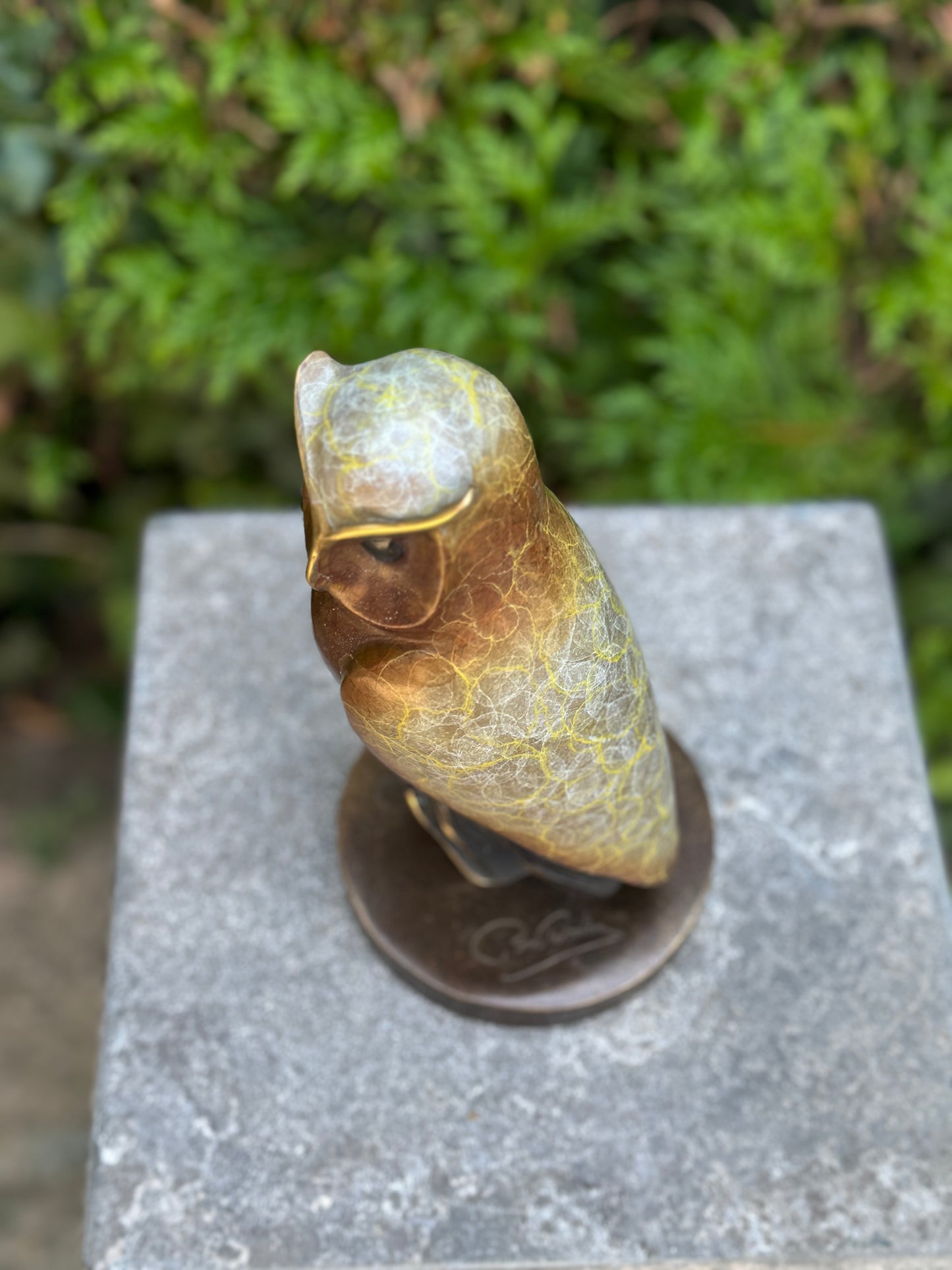 Wise Owl – Bronze Sculpture. 11x11x21cm - 2Kg