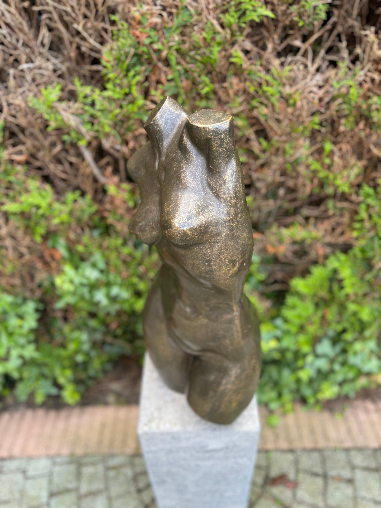 Curved Torso – Bronze Sculpture. 26x20x62cm - 12.5Kg