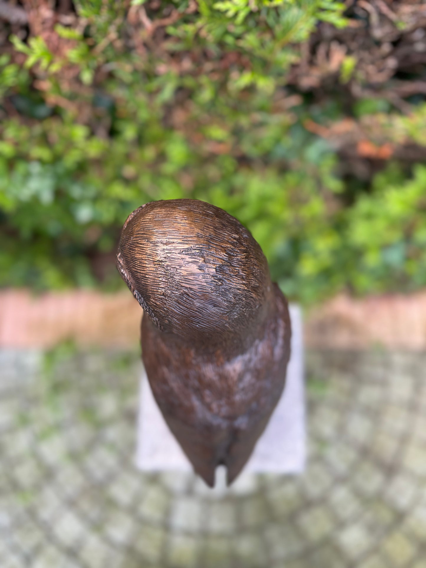 Silent Watcher – Bronze Sculpture. 16x13x43cm - 5.5Kg