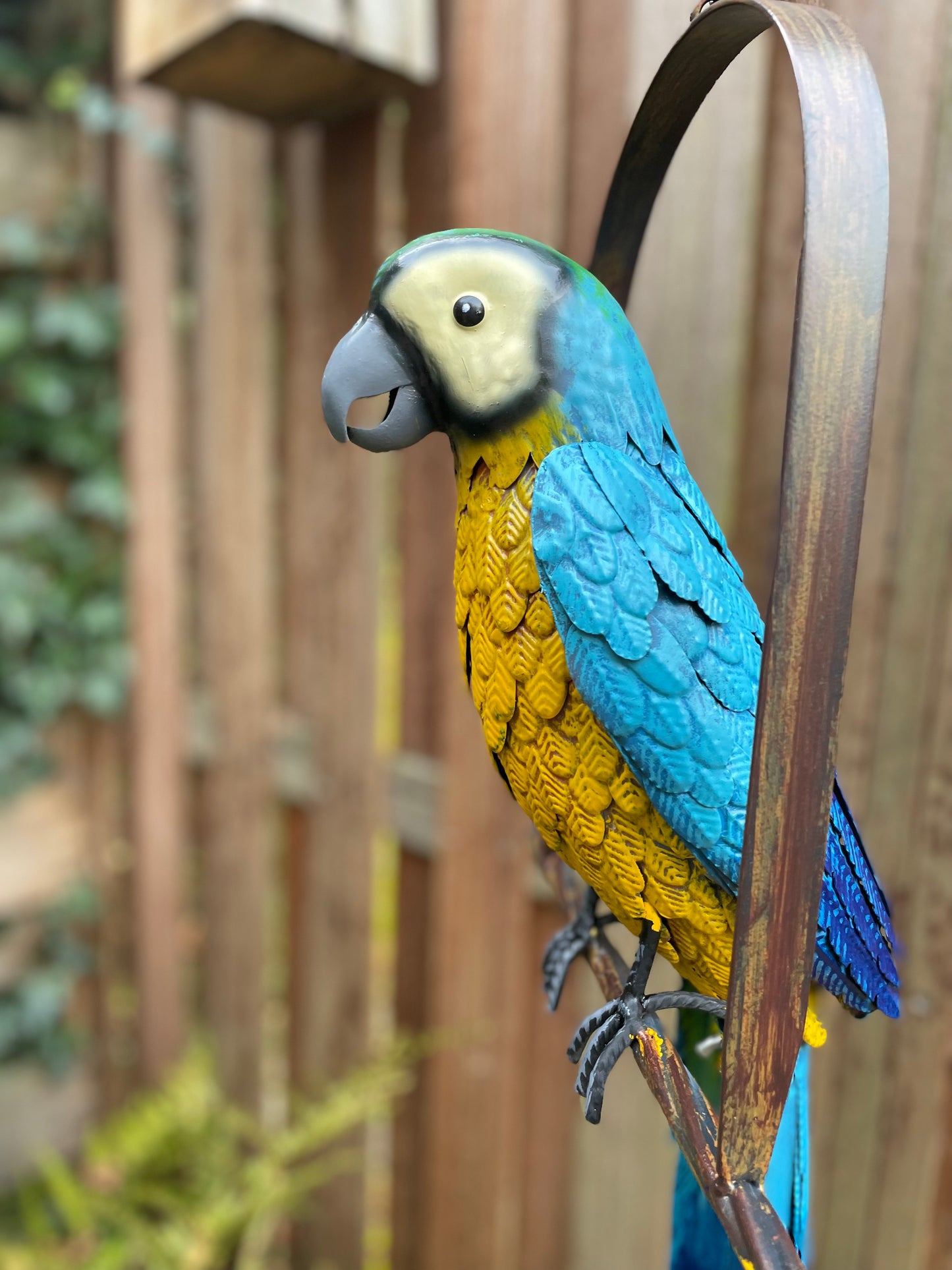 Hanging Macaw – Iron Sculpture. 28x16x95cm - 1Kg