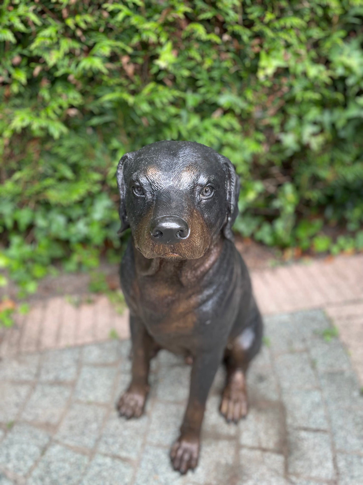 Loyal Companion – Bronze Sculpture. 44x35x64cm - 11Kg