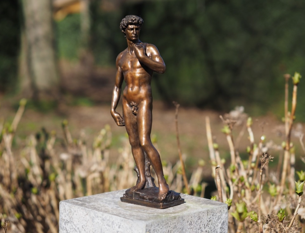 David – Bronze Sculpture. 32x9x8cm - 2Kg