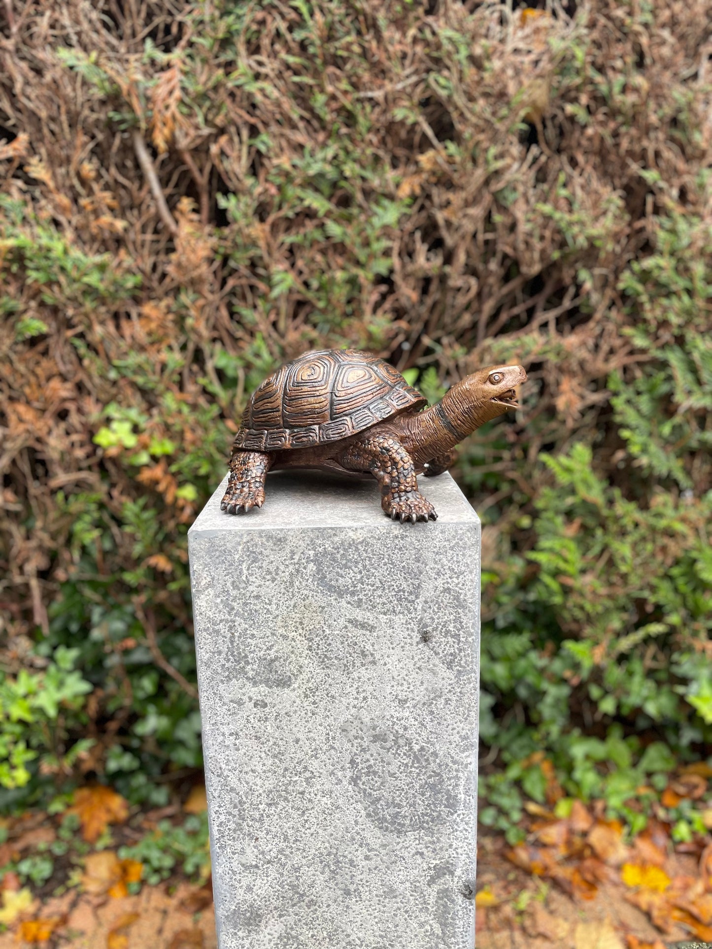 Fountain Turtle – Bronze Sculpture. 34x26x14cm - 3.5Kg