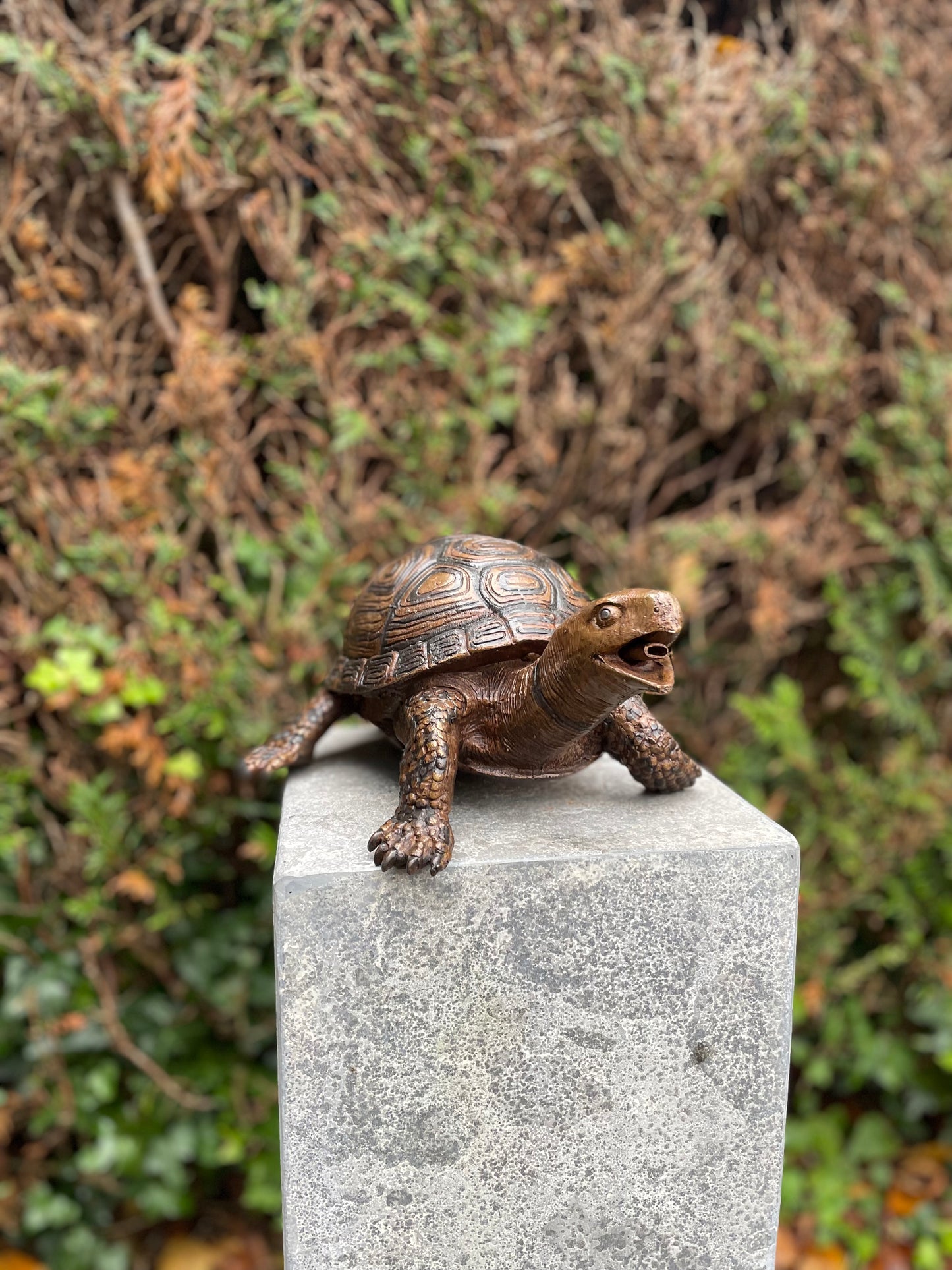 Fountain Turtle – Bronze Sculpture. 34x26x14cm - 3.5Kg