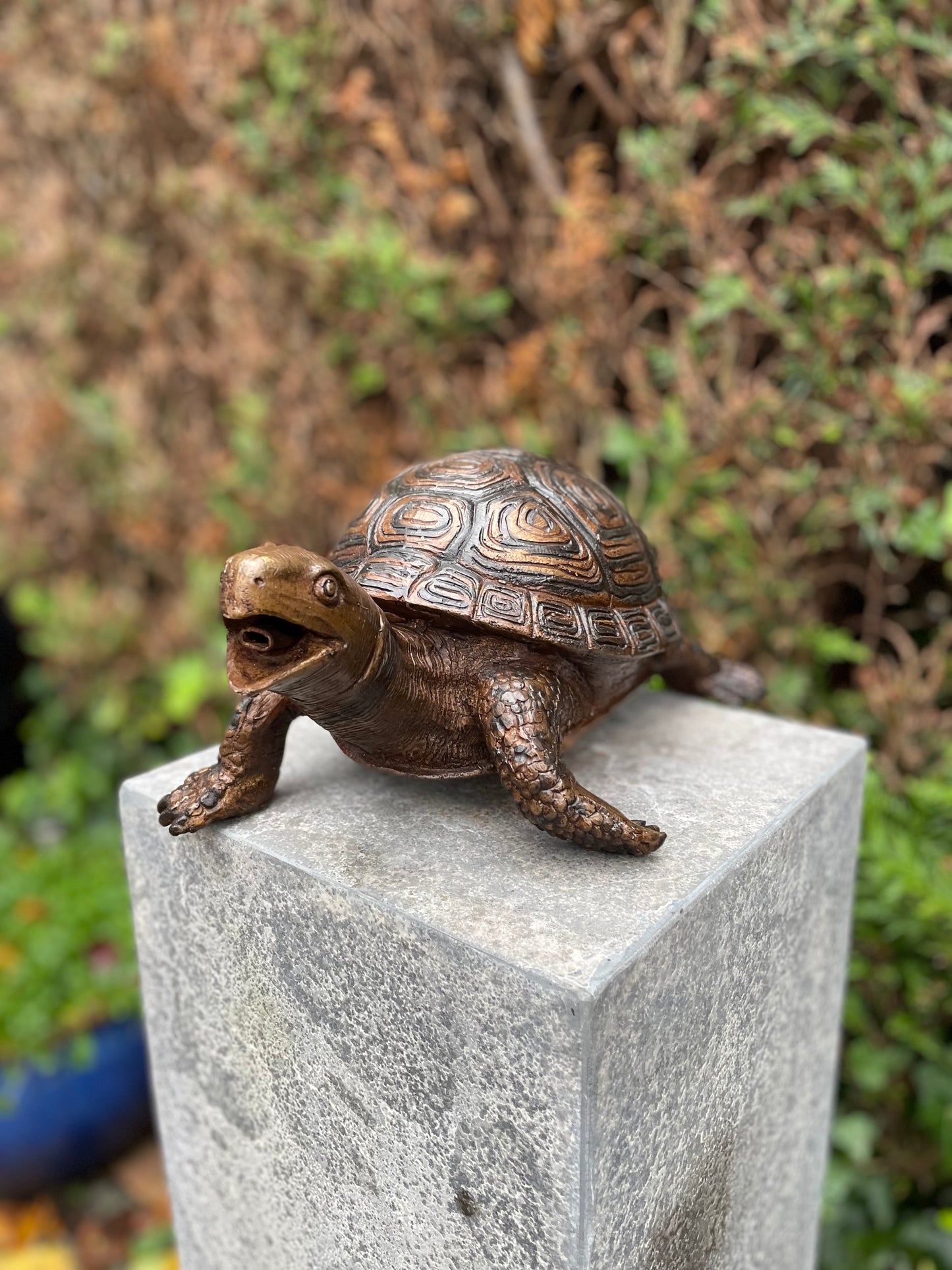 Fountain Turtle – Bronze Sculpture. 34x26x14cm - 3.5Kg