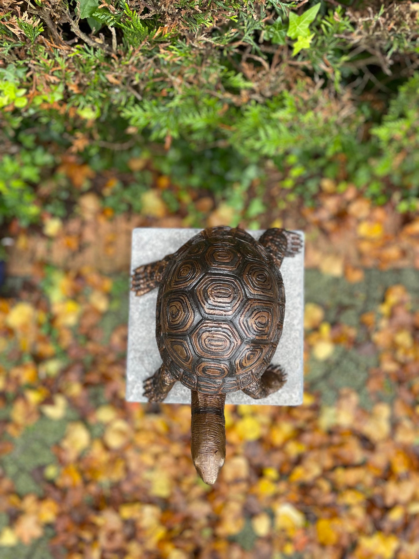 Fountain Turtle – Bronze Sculpture. 34x26x14cm - 3.5Kg