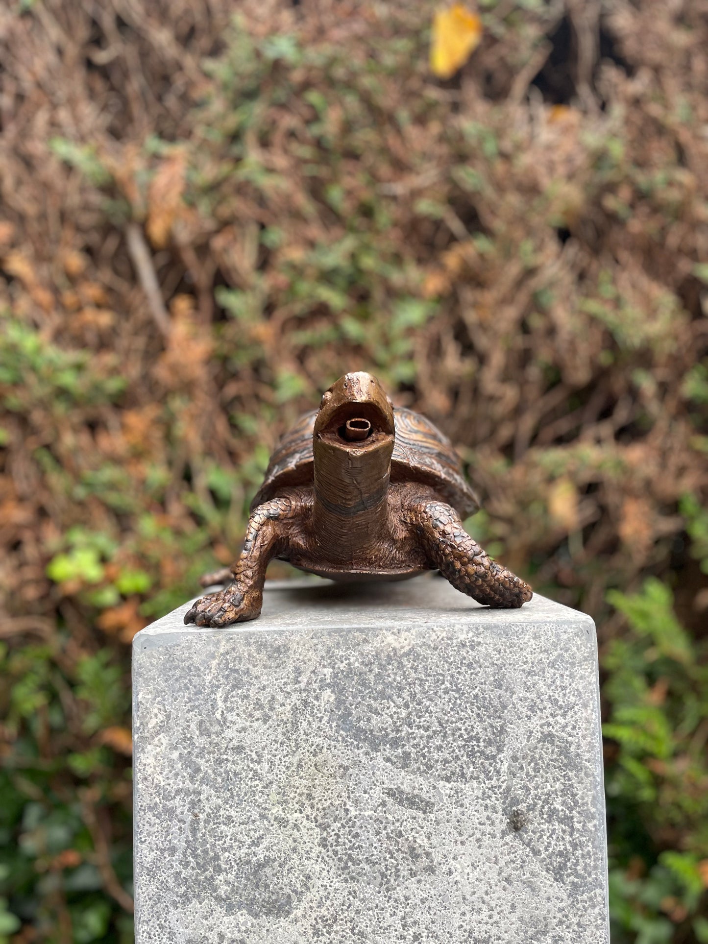 Fountain Turtle – Bronze Sculpture. 34x26x14cm - 3.5Kg
