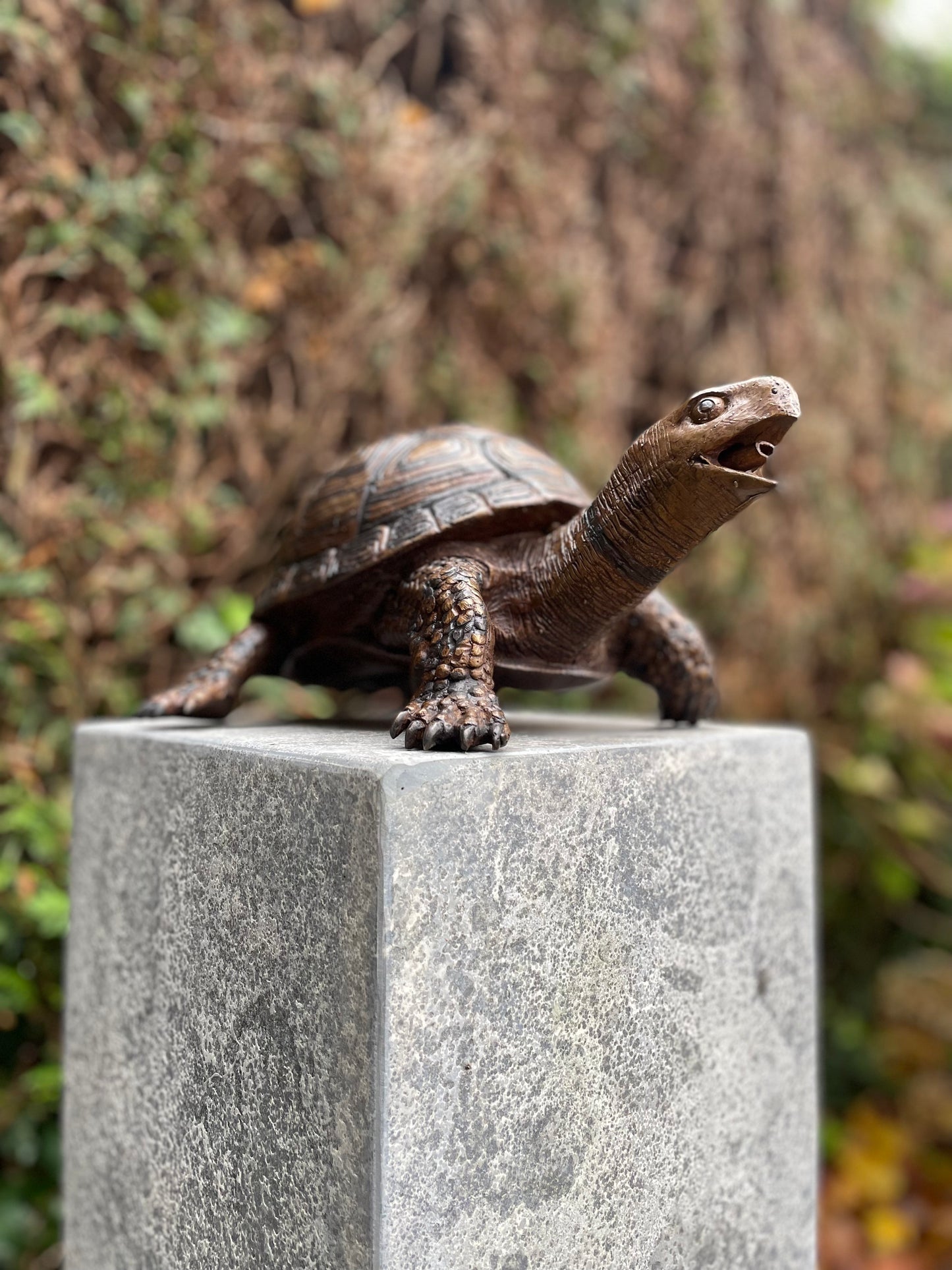 Fountain Turtle – Bronze Sculpture. 34x26x14cm - 3.5Kg