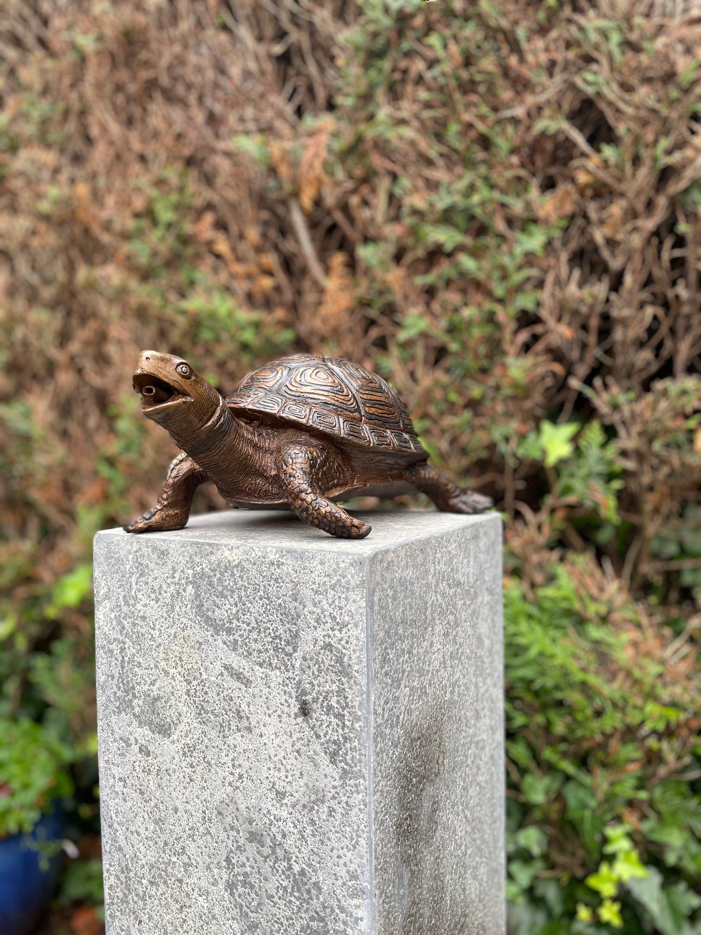 Fountain Turtle – Bronze Sculpture. 34x26x14cm - 3.5Kg