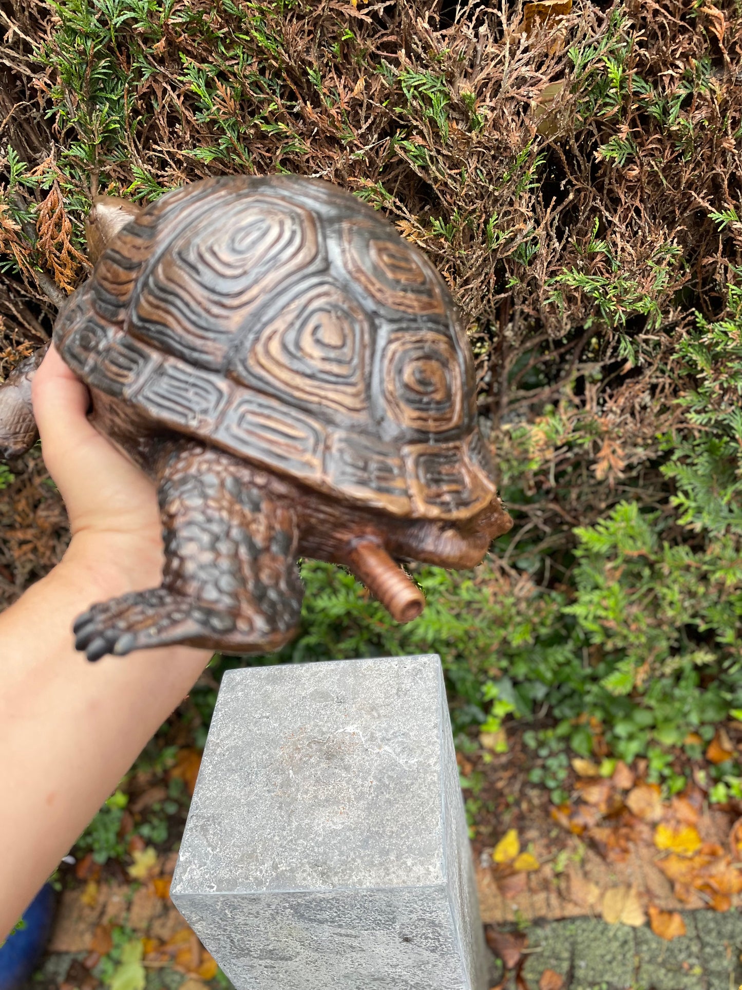 Fountain Turtle – Bronze Sculpture. 34x26x14cm - 3.5Kg