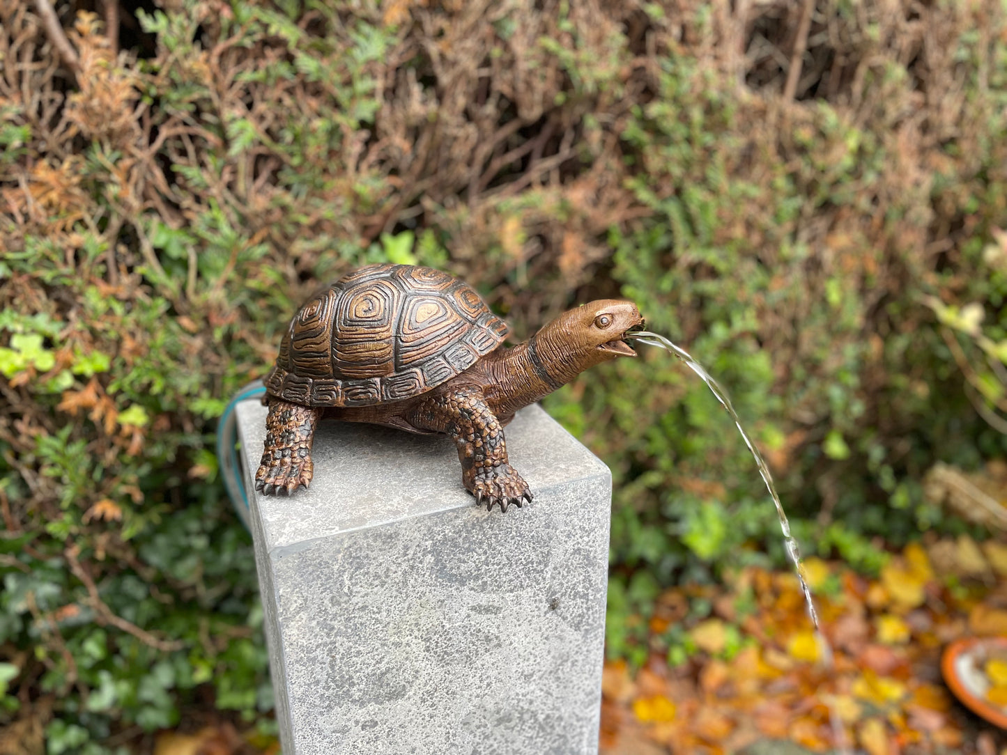 Fountain Turtle – Bronze Sculpture. 34x26x14cm - 3.5Kg