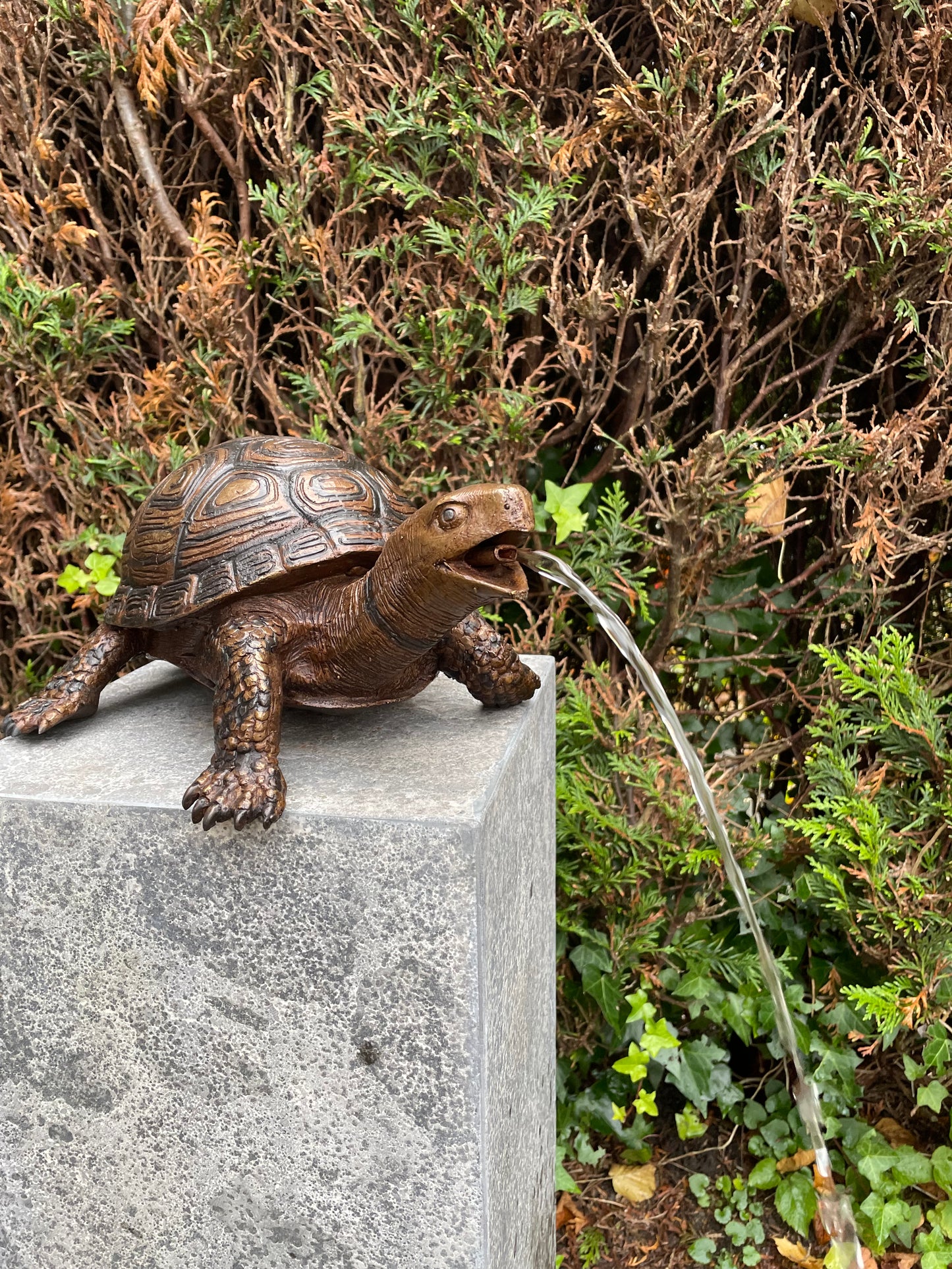 Fountain Turtle – Bronze Sculpture. 34x26x14cm - 3.5Kg