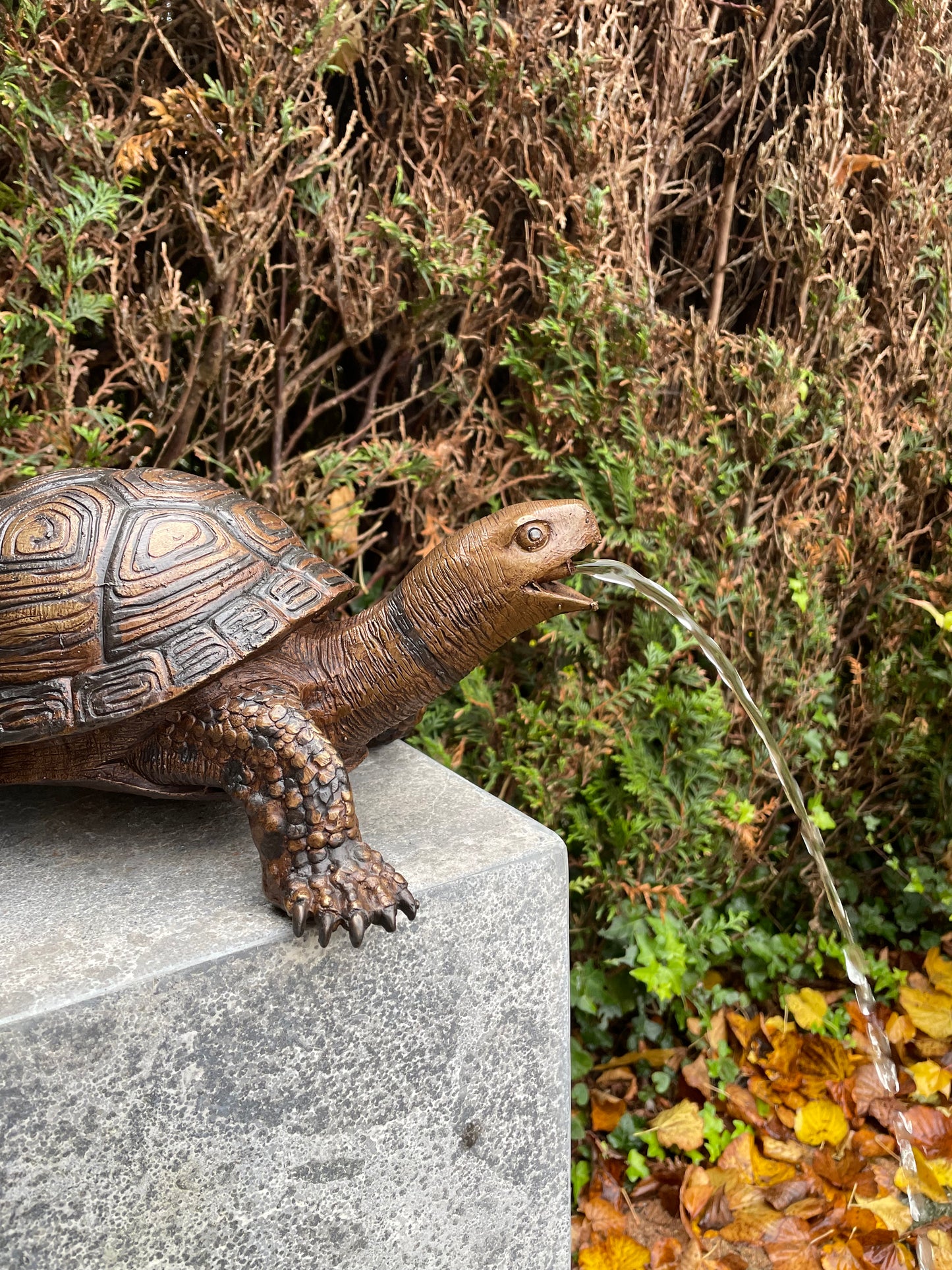 Fountain Turtle – Bronze Sculpture. 34x26x14cm - 3.5Kg