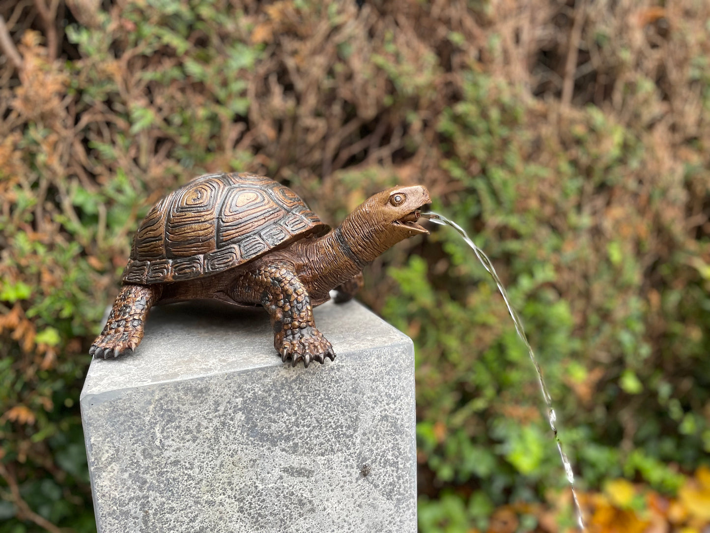Fountain Turtle – Bronze Sculpture. 34x26x14cm - 3.5Kg