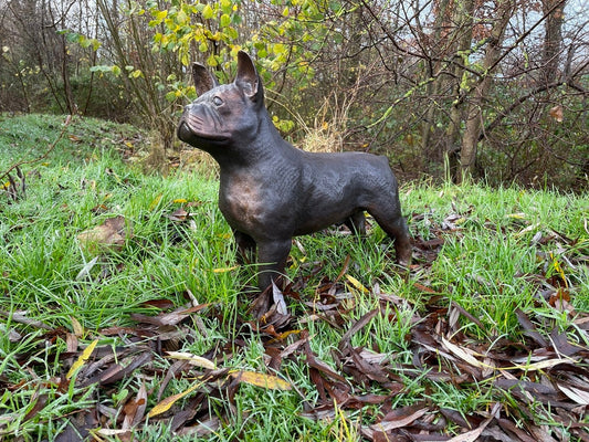 French Bulldog – Bronze Sculpture. 46x20x48cm - 10Kg