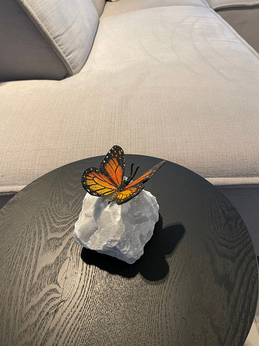 Colorful Butterfly – Bronze Sculpture. 11x11x12cm