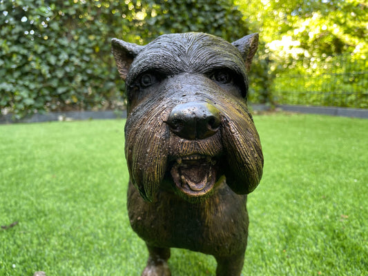 Terrier Dog – Bronze Sculpture. 46x17x35cm