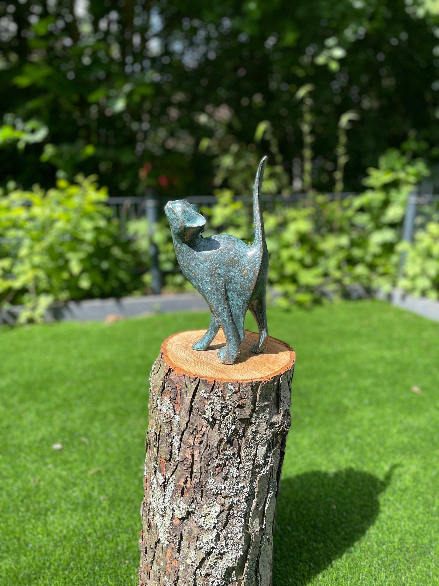 Poised Cat – Bronze Sculpture. 18x10x31cm