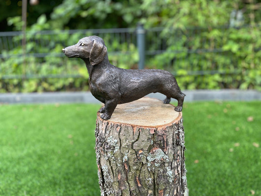 Alert Dachshund – Bronze Sculpture. 30x8x18cm
