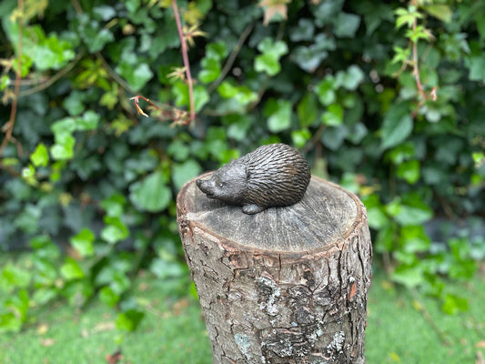 Little Hedgehog – Bronze Sculpture. 14x6x7cm