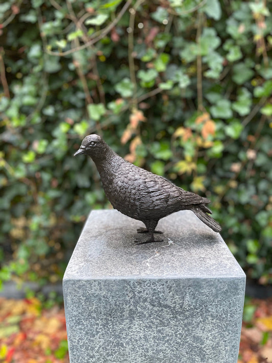 Garden Dove – Bronze Sculpture. 22x9x18cm