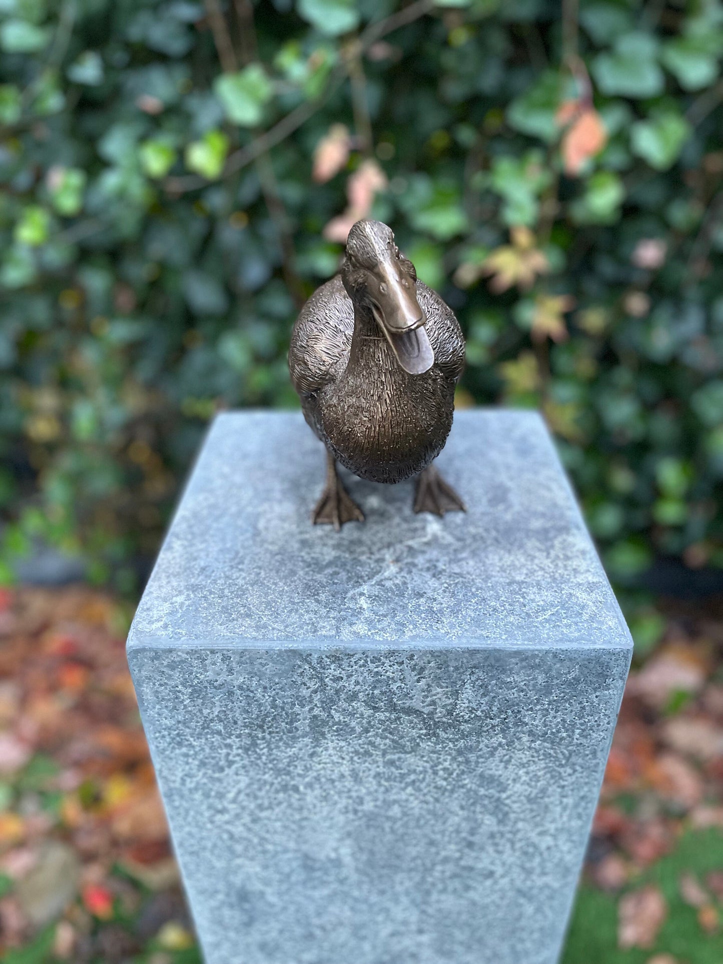 Standing Duck – Bronze Sculpture. 20x10x28cm - 1.7Kg