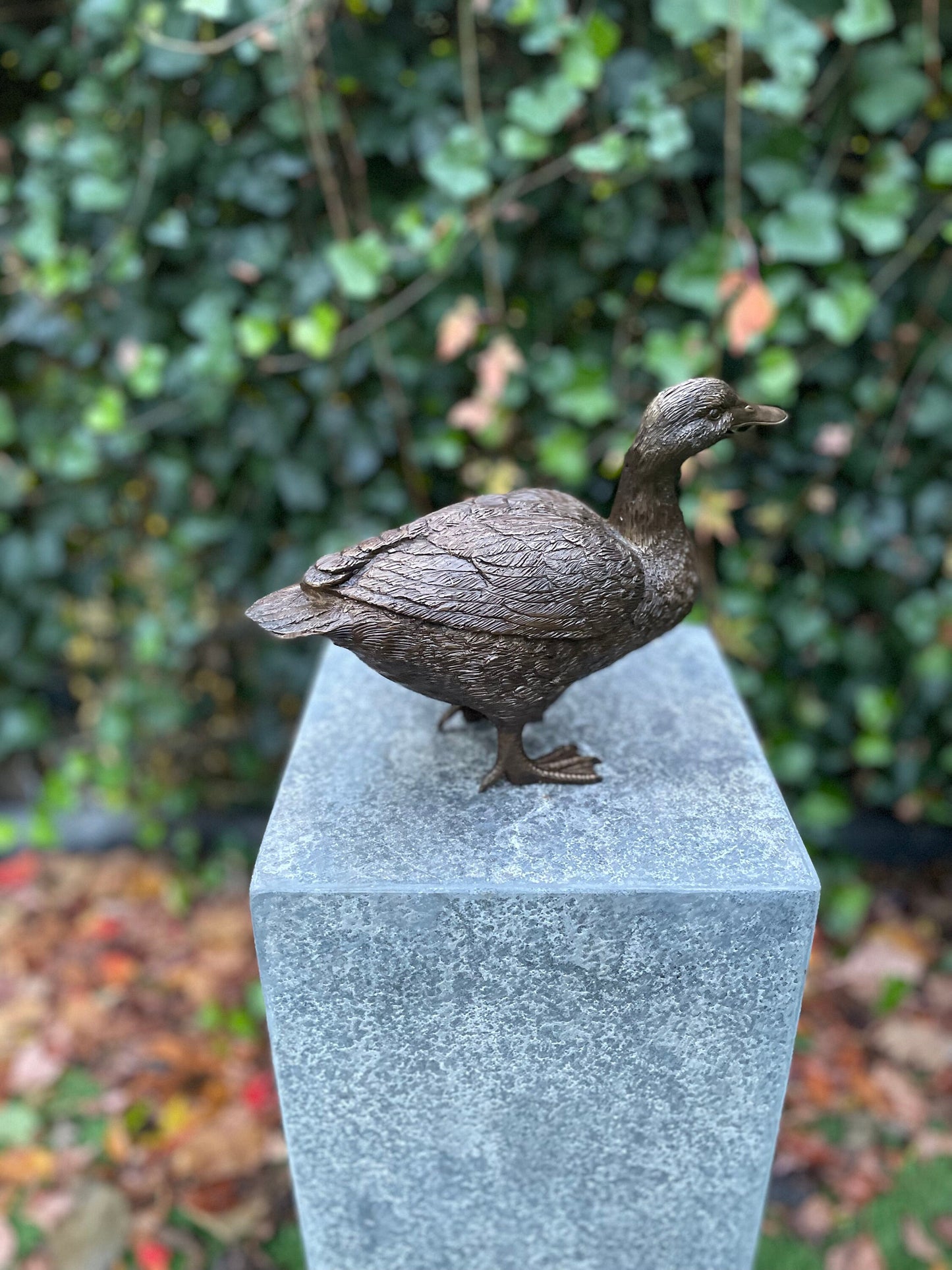 Standing Duck – Bronze Sculpture. 20x10x28cm - 1.7Kg