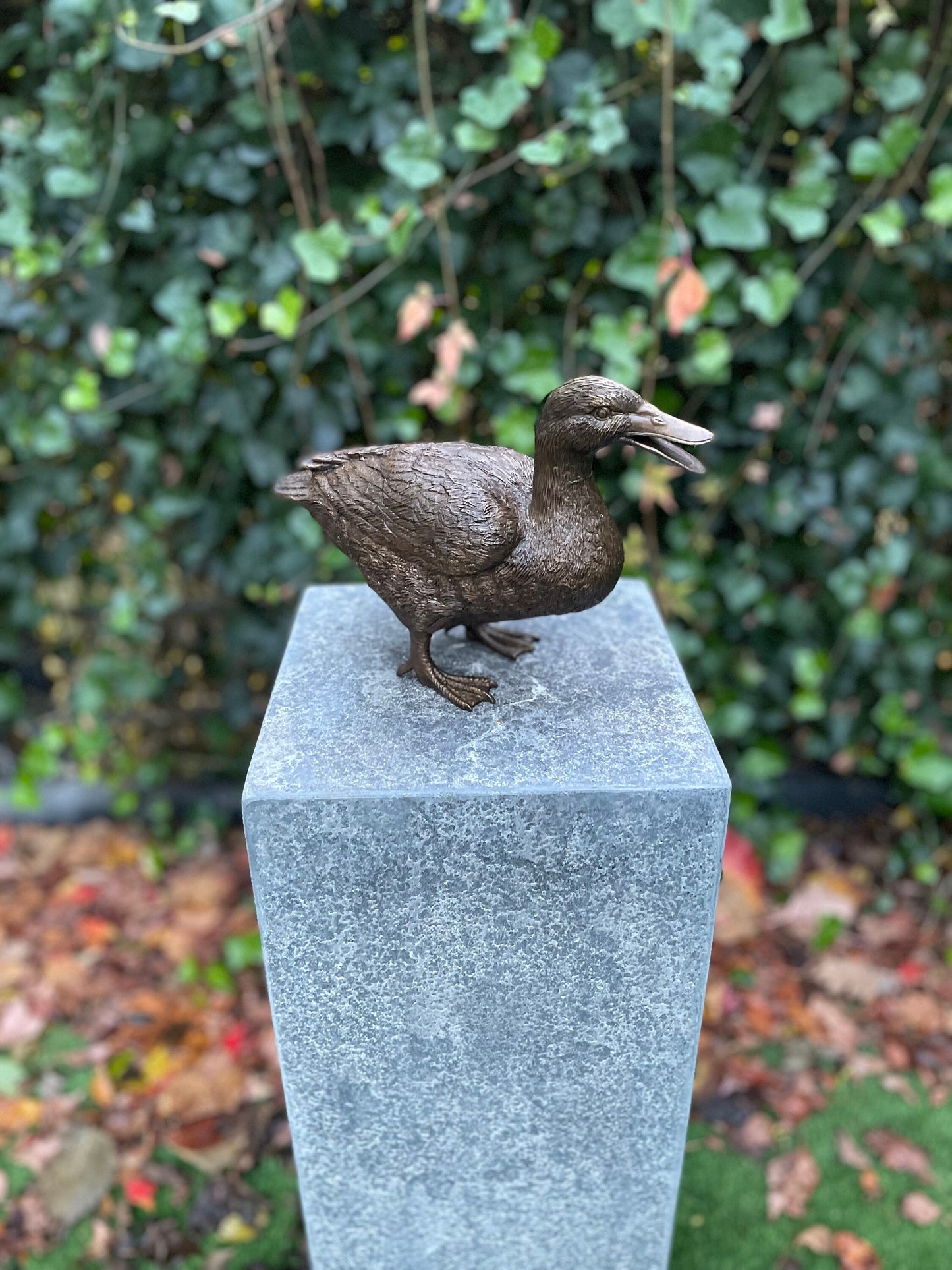 Standing Duck – Bronze Sculpture. 20x10x28cm - 1.7Kg