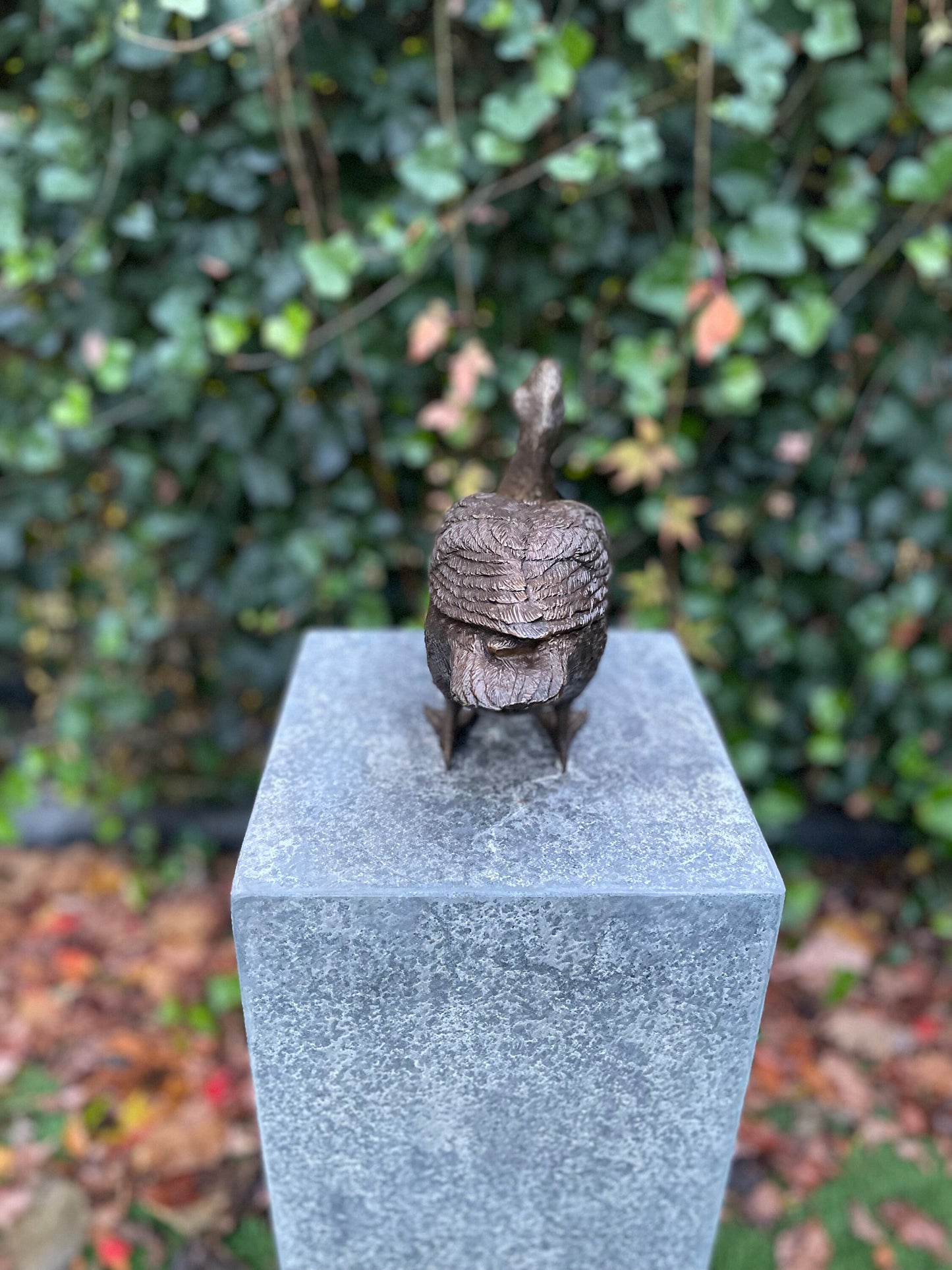 Standing Duck – Bronze Sculpture. 20x10x28cm - 1.7Kg