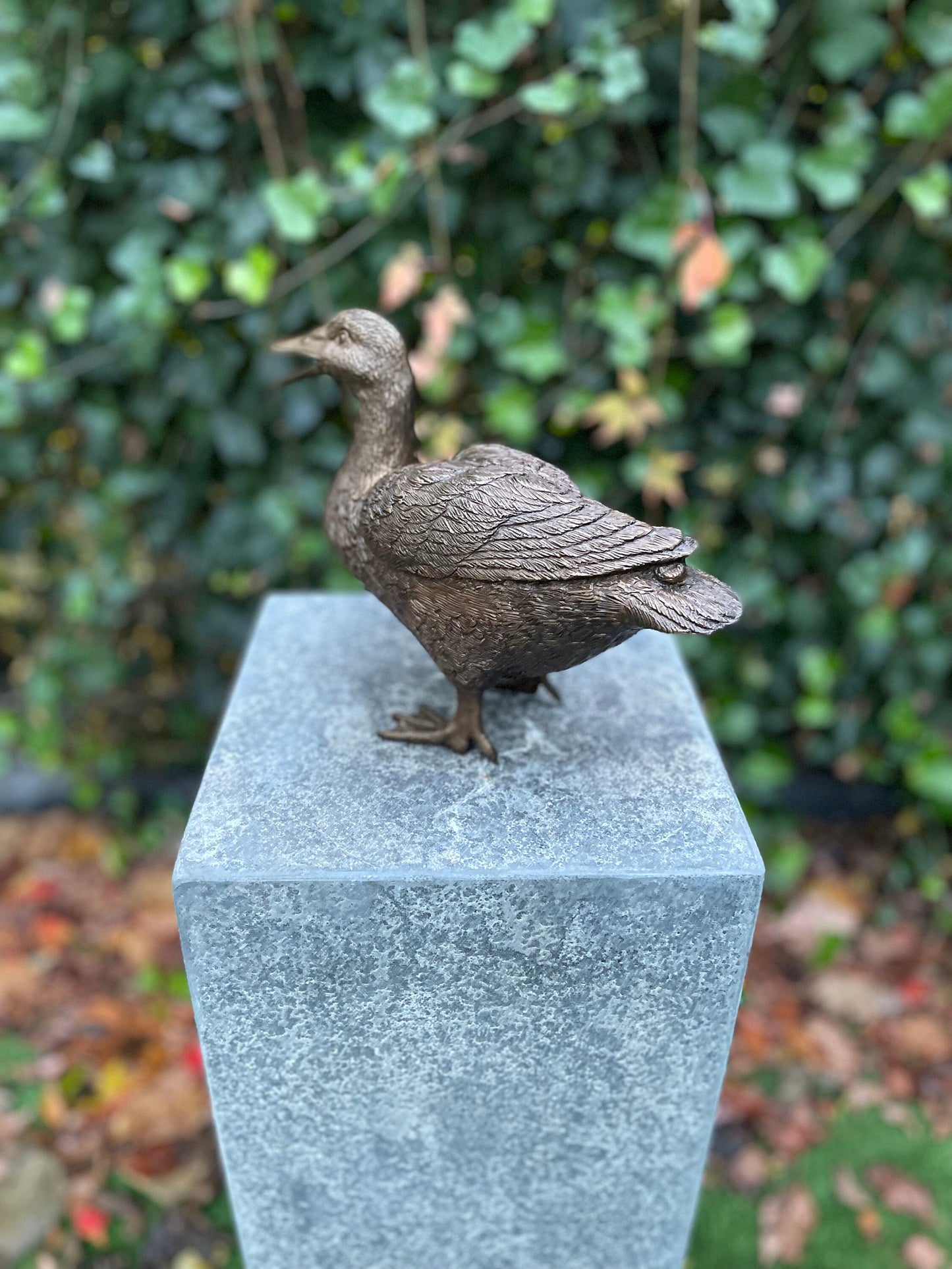 Standing Duck – Bronze Sculpture. 20x10x28cm - 1.7Kg
