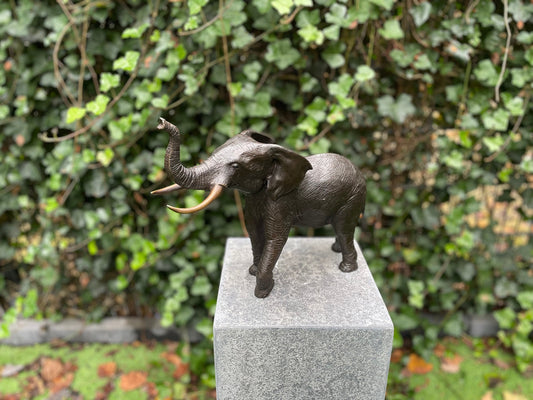 Majestic Elephant – Bronze Sculpture. 37x14x29cm