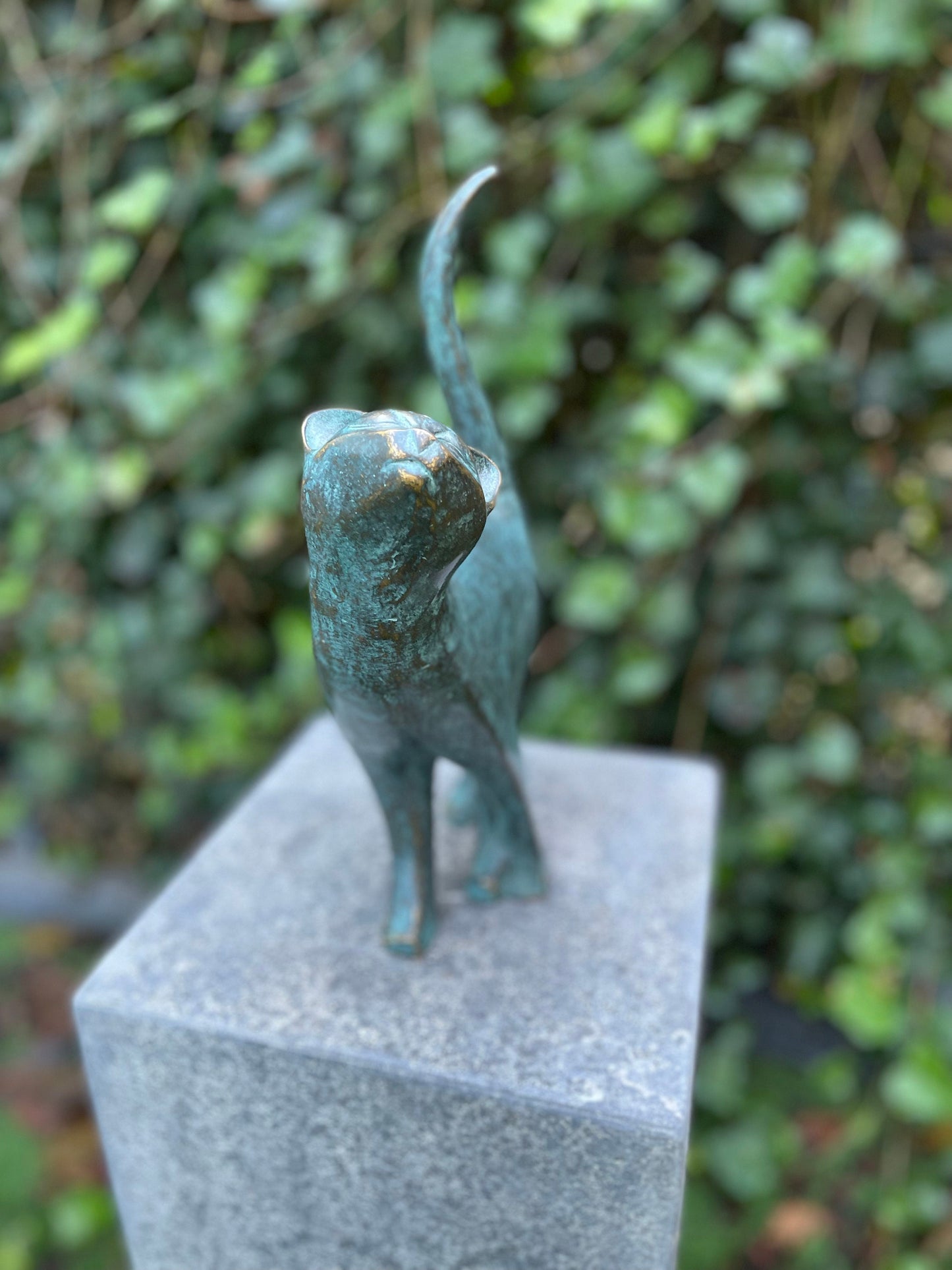 Poised Cat – Bronze Sculpture. 18x10x31cm