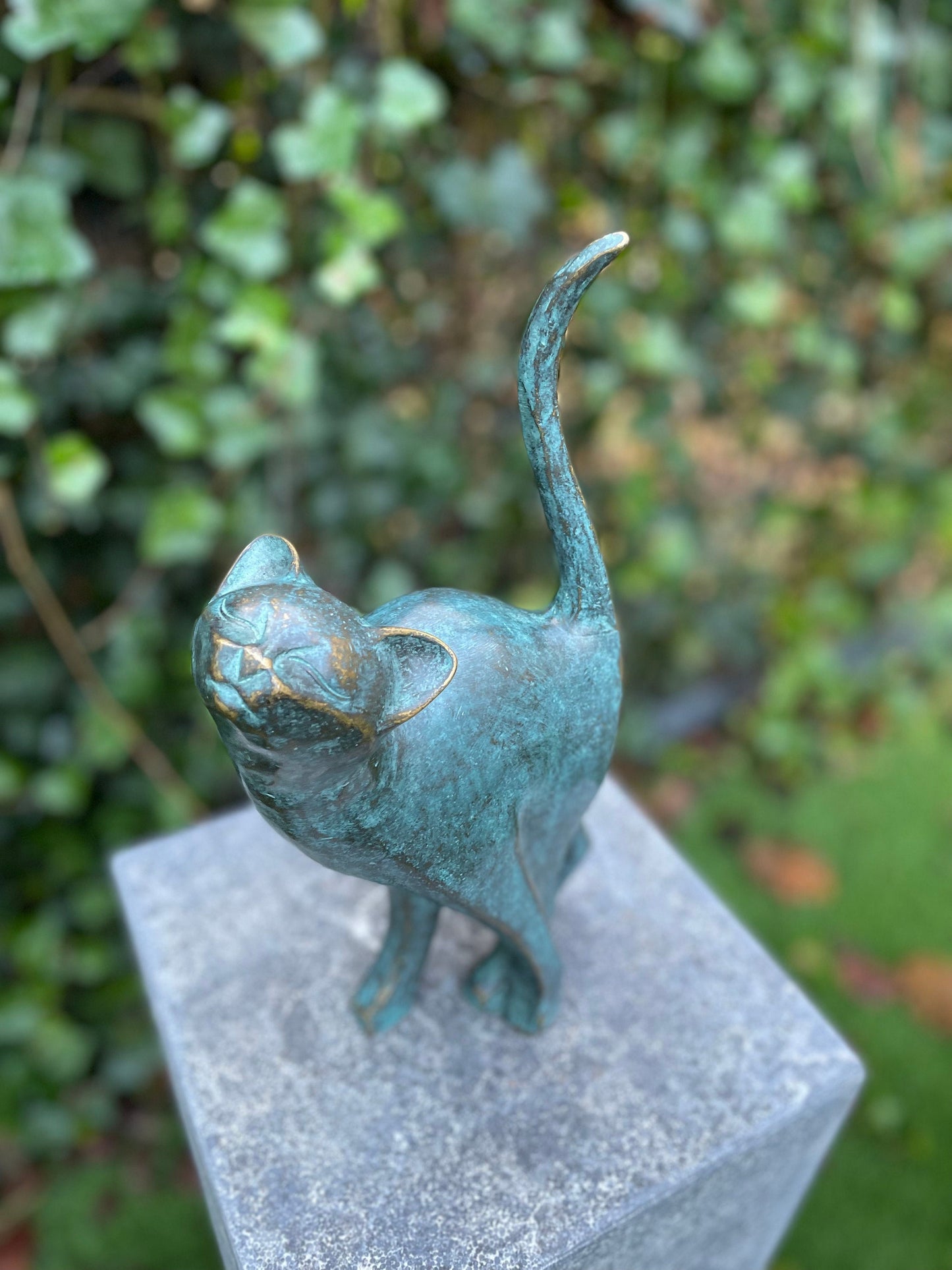 Poised Cat – Bronze Sculpture. 18x10x31cm