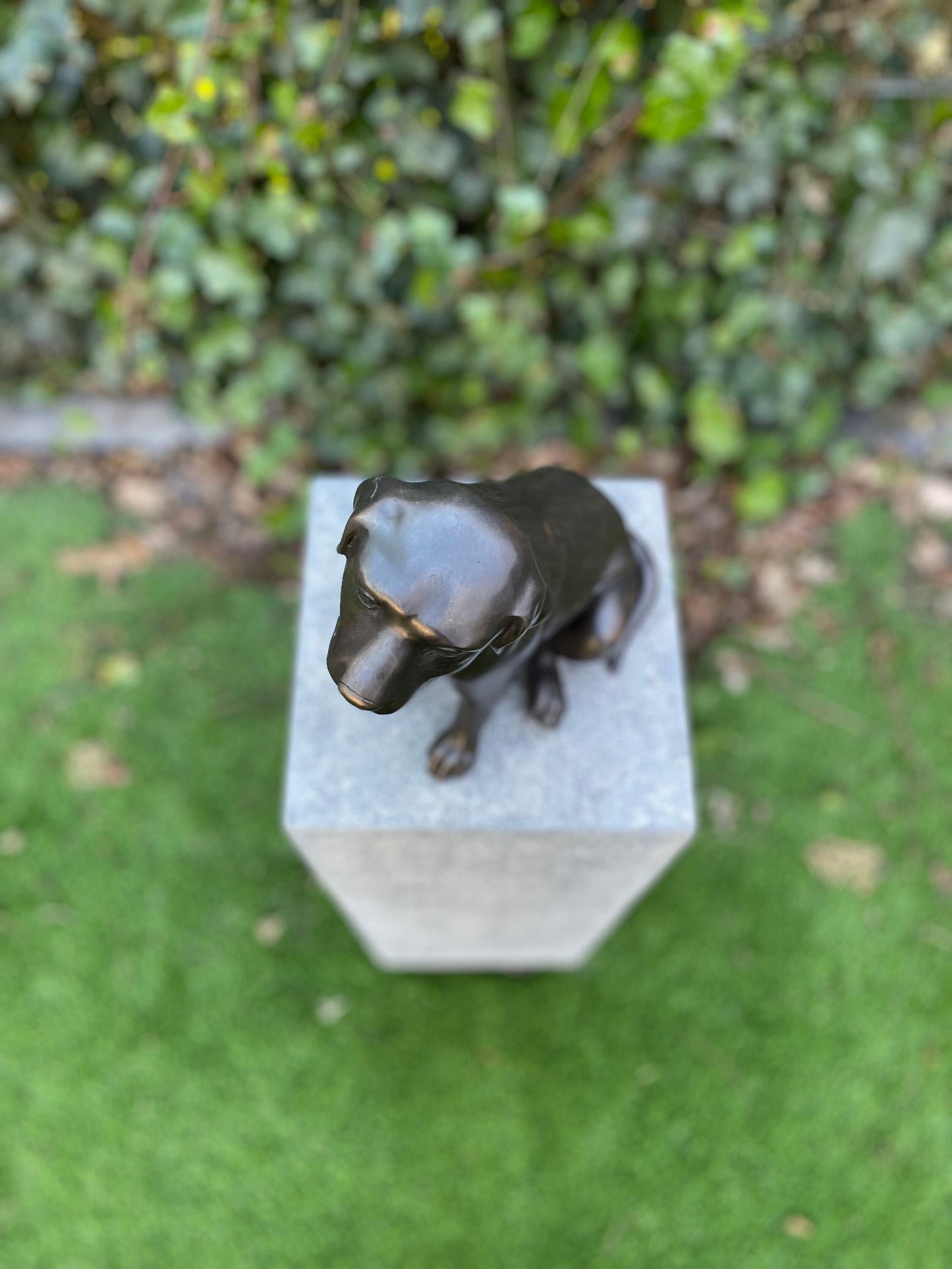 Faithful Labrador – Bronze Sculpture. 24x15x22cm - 2.7Kg