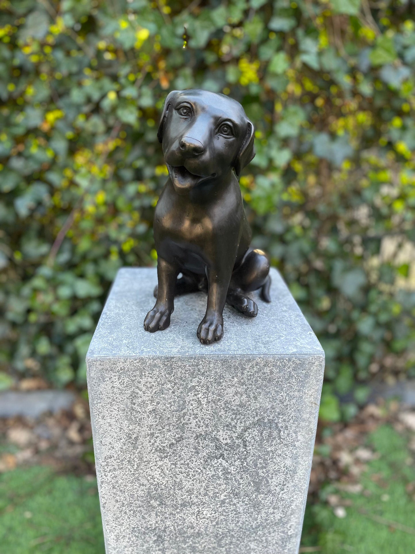 Faithful Labrador – Bronze Sculpture. 24x15x22cm - 2.7Kg
