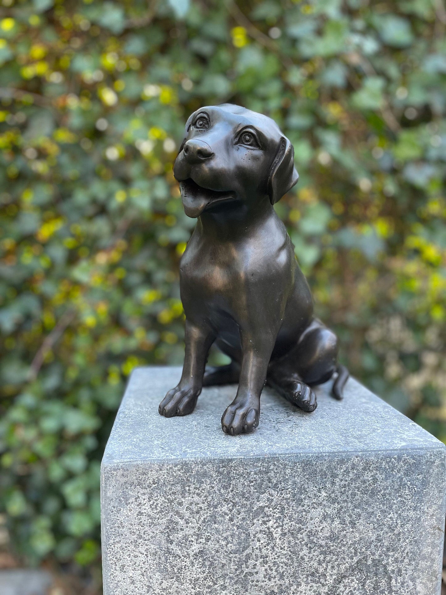Faithful Labrador – Bronze Sculpture. 24x15x22cm - 2.7Kg