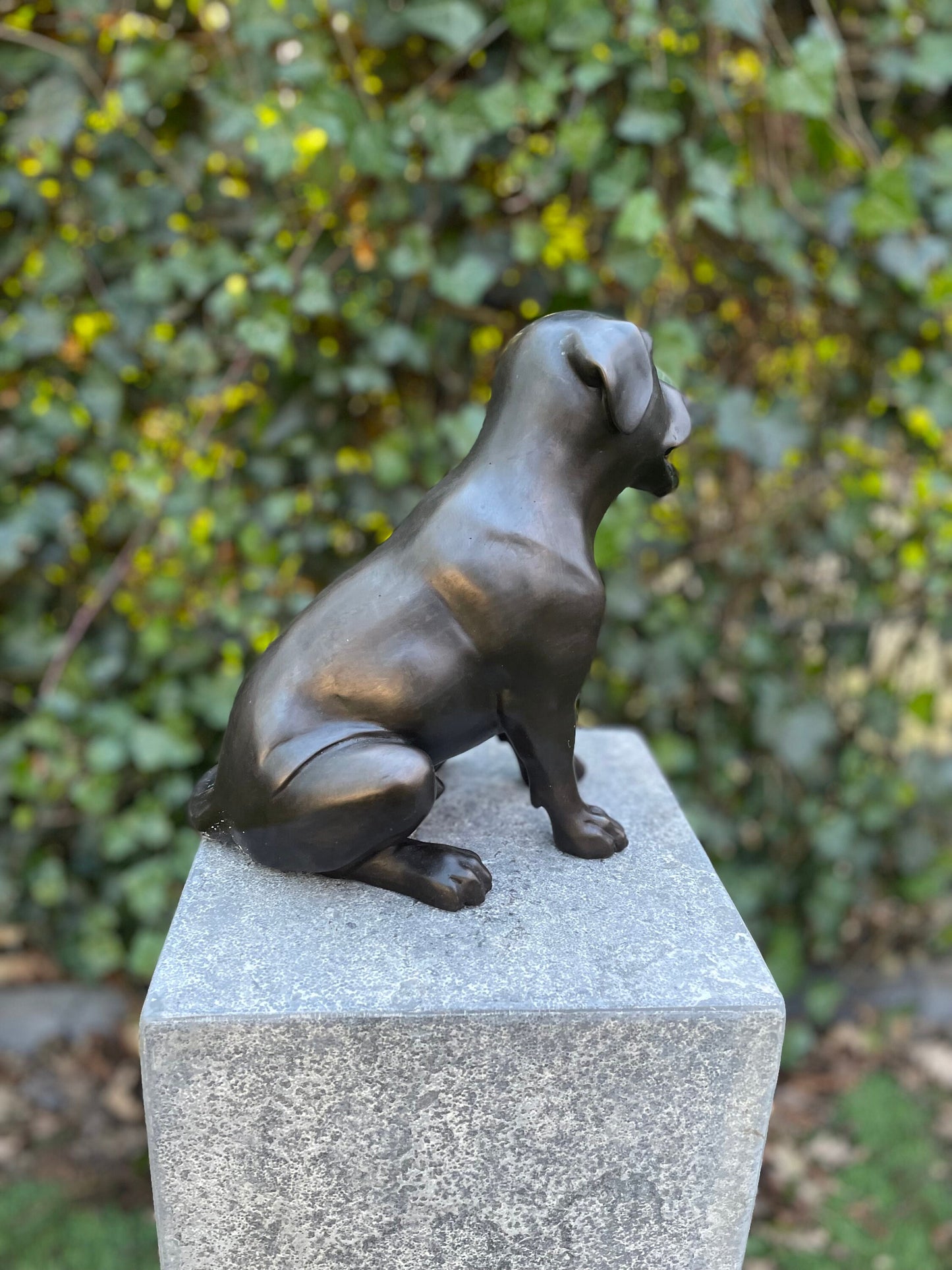 Faithful Labrador – Bronze Sculpture. 24x15x22cm - 2.7Kg
