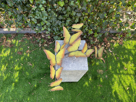 Butterfly Dance – Bronze Sculpture. 38x11x50cm - 2.6Kg