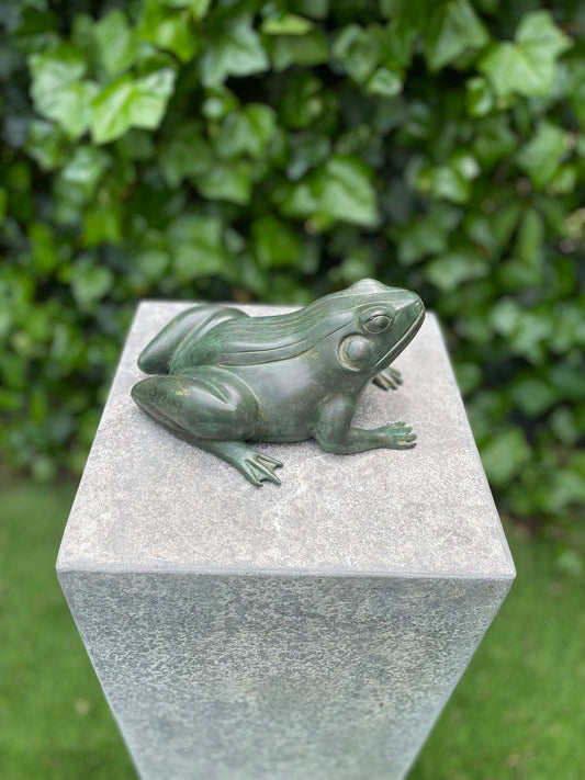 Frog Fountain – Bronze Sculpture. 20x16x9cm - 1.3Kg