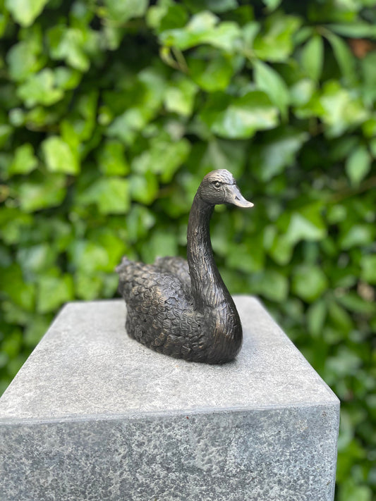 Resting Swan – Bronze Sculpture. 22x9x16cm - 1.2Kg