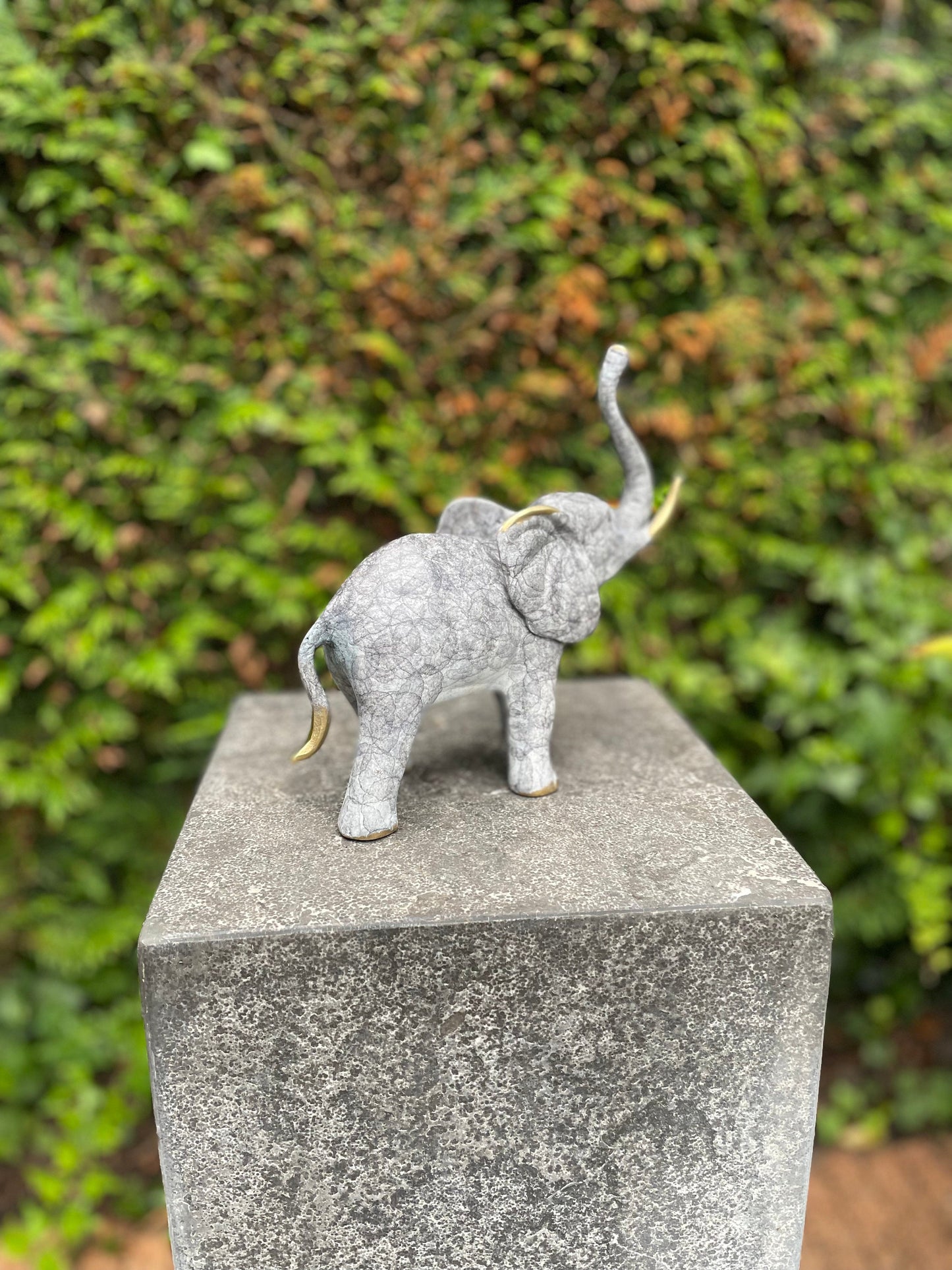 Trumpeting Elephant – Bronze Sculpture. 21x8x20cm