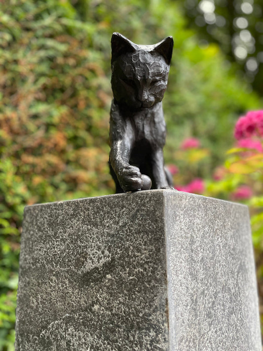 Curious Kitten – Bronze Sculpture. 21x13x20cm - 3.1Kg