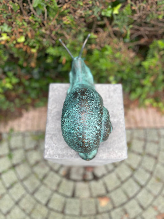 Curious Snail – Bronze Sculpture. 23x13x47cm - 2.5Kg