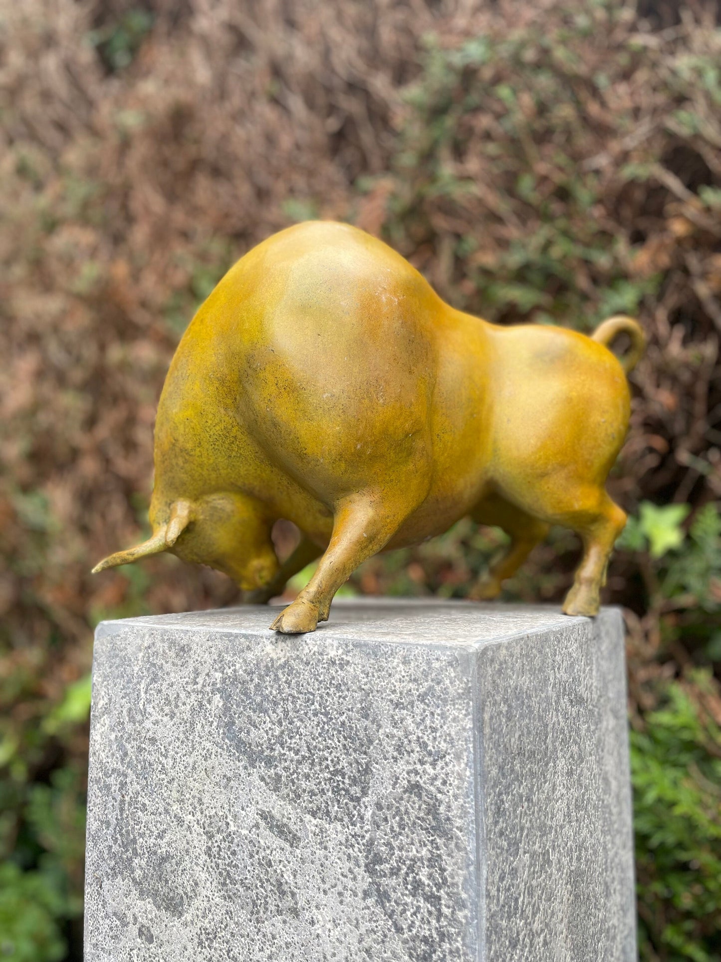 Golden Bull Pose – Bronze Sculpture. 38x20x27cm - 6Kg