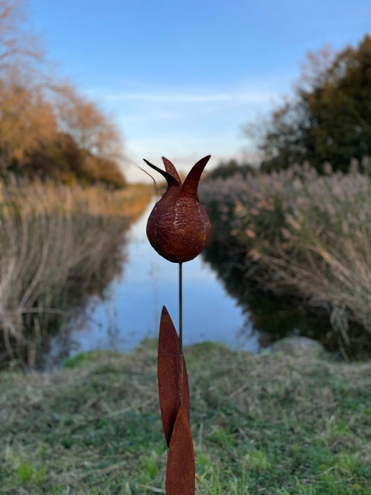Tulip Silhouette – Iron Sculpture. 55x1x160cm