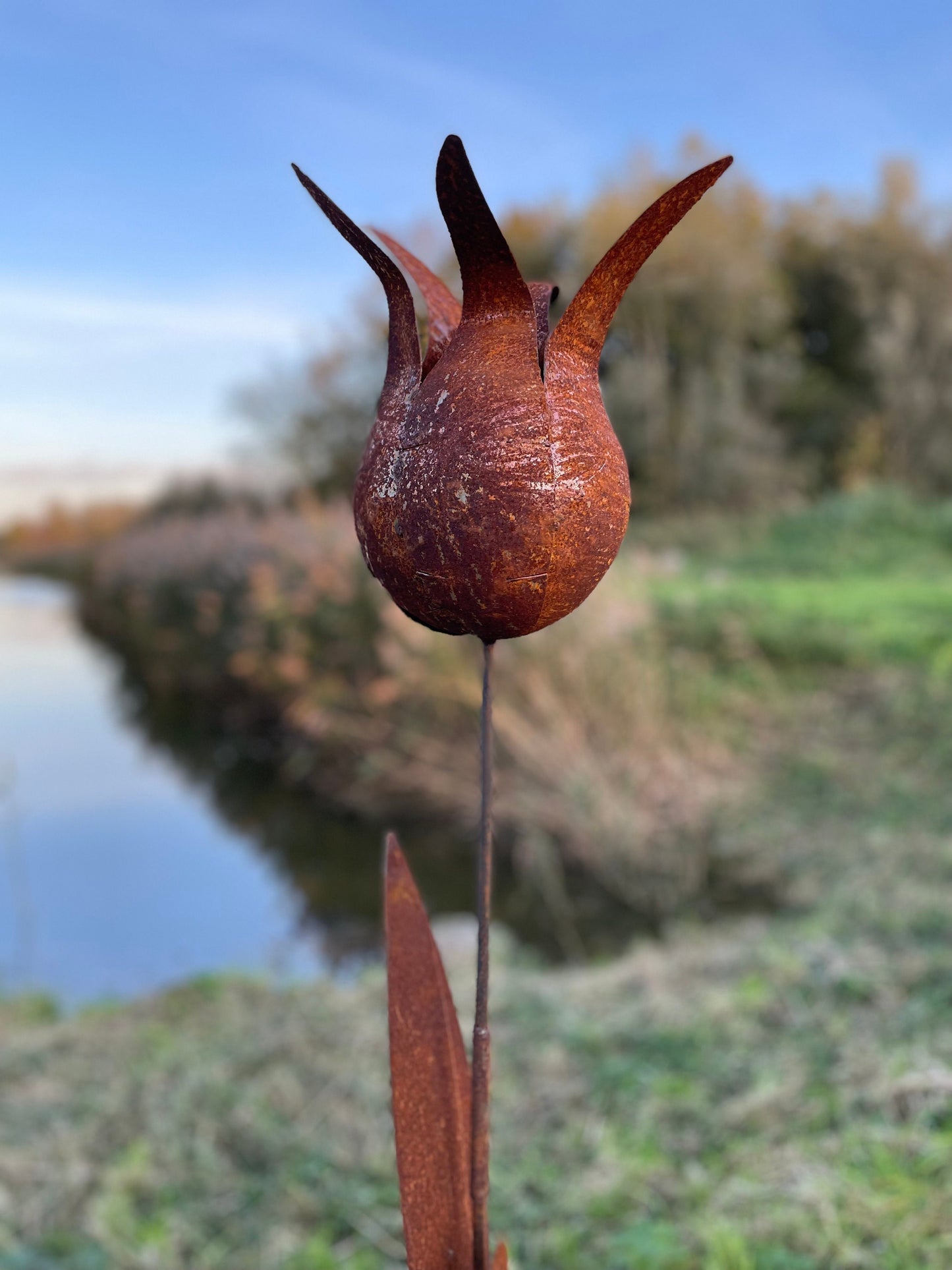 Tulip Silhouette – Iron Sculpture. 55x1x160cm