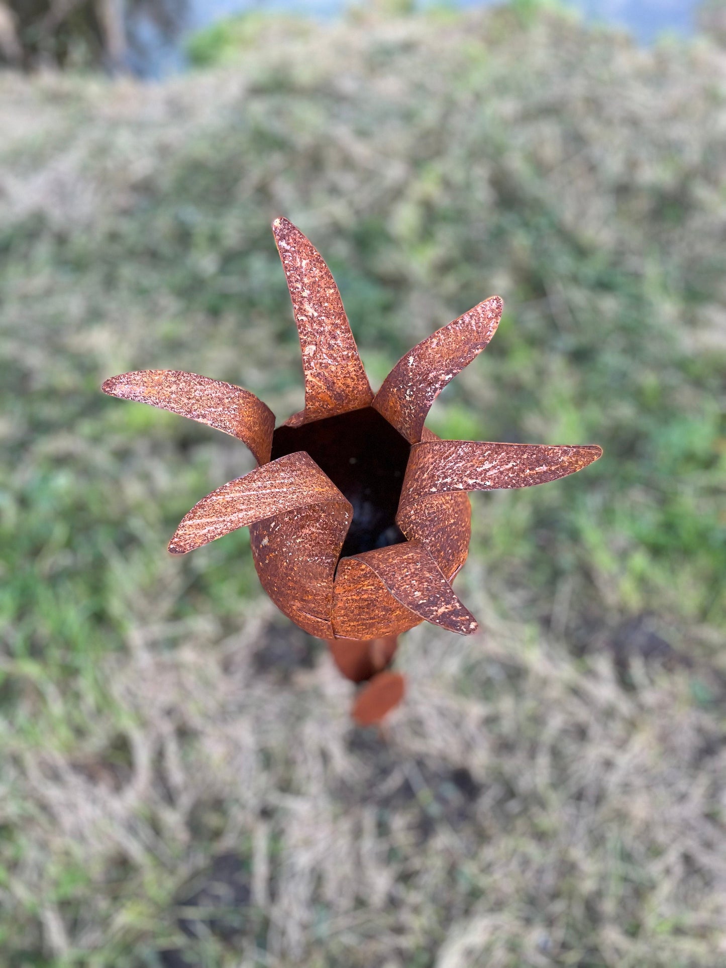 Tulip Silhouette – Iron Sculpture. 55x1x160cm