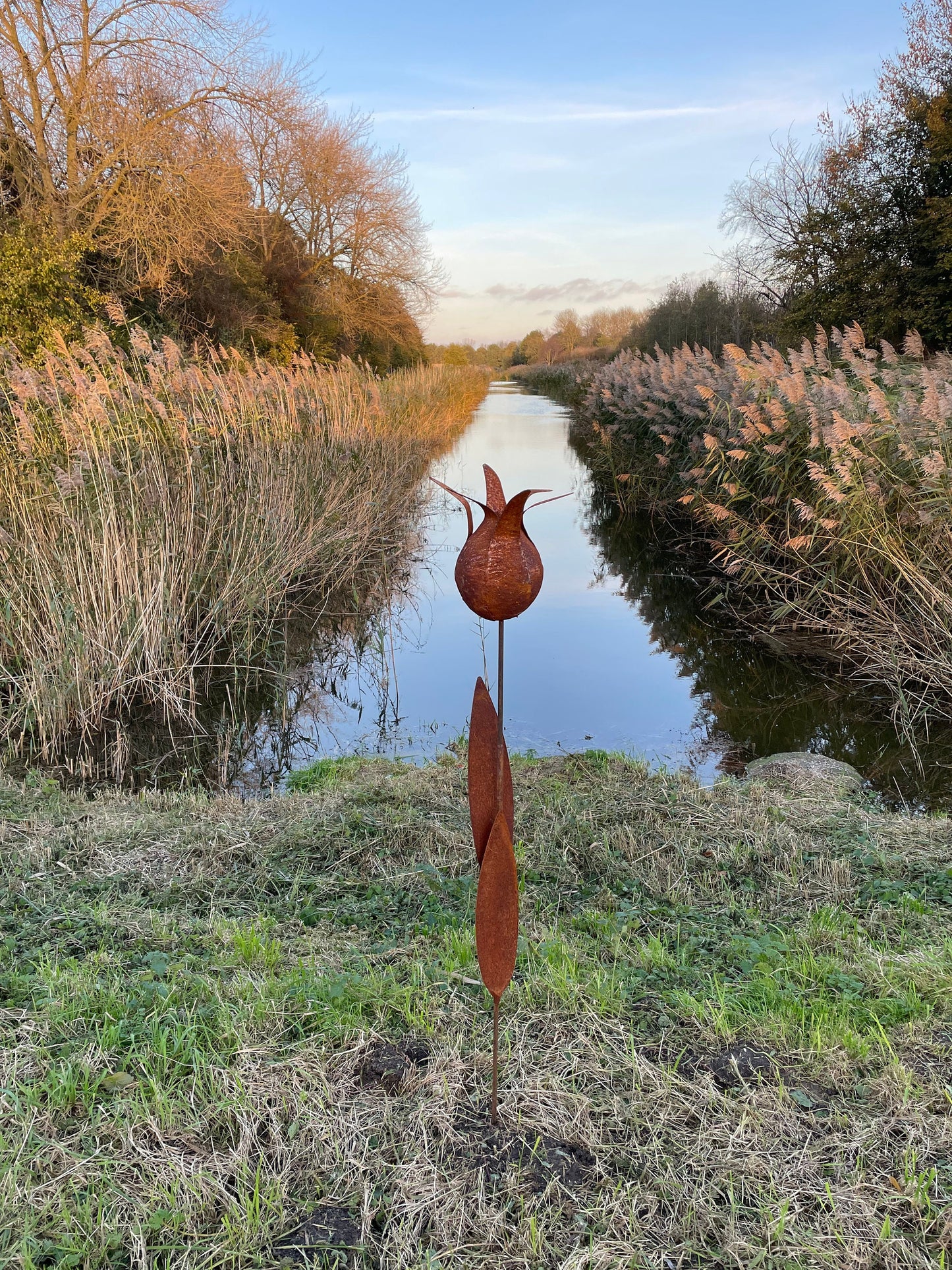 Tulip Silhouette – Iron Sculpture. 55x1x160cm