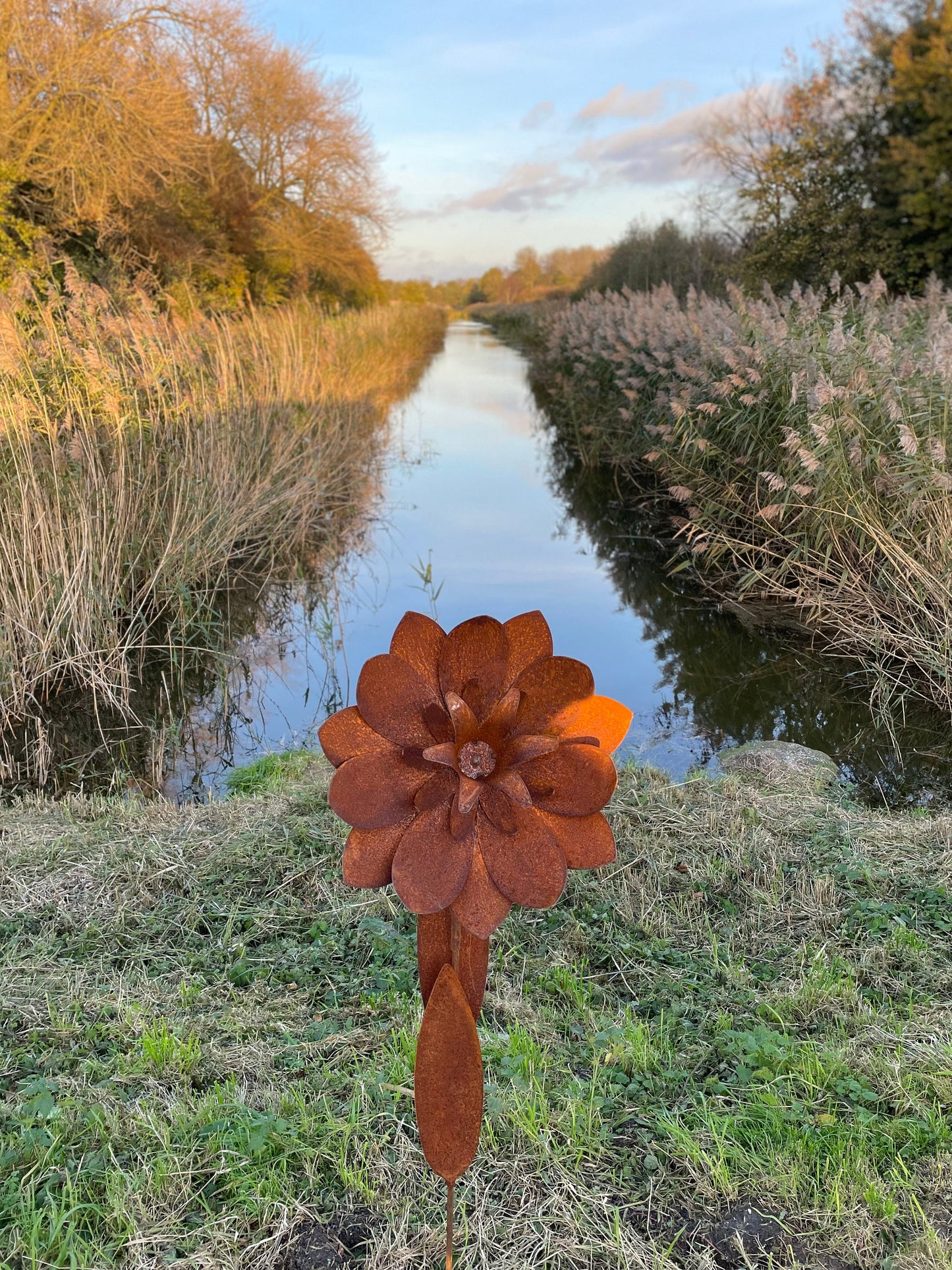 Garden Bloom – Iron Sculpture. 55x1x160cm