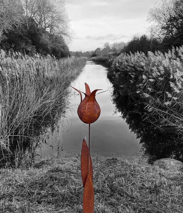 Tulip Silhouette – Iron Sculpture. 55x1x160cm